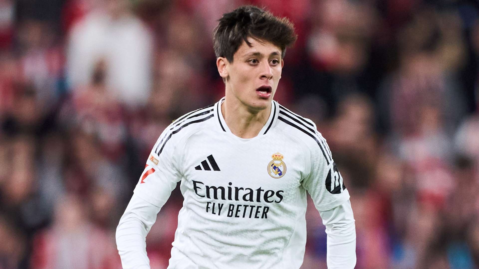 洛里昂球迷 洛里昂球迷